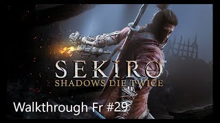 Guidewalkthrough sur Sekiro 29 Boss Démon de la haineFr [upl. by Nawd260]