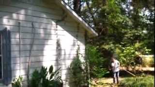 Blowing up a wasps nest with M 80 firecrackers [upl. by Garris]