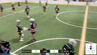 Colorado Lacrosse League BIGHORNS VS USBS [upl. by Hgielram]