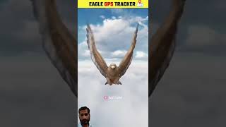 Eagle 1 sal mein Kitna Safar karta hai Sony is video meinpleasesubscribe youtubevideo [upl. by Dazhahs]