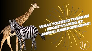 What to Expect Staying at Animal Kingdom Lodge [upl. by Erolyat]