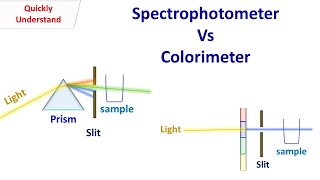 Difference between spectrophotometer and colorimeter [upl. by Eelam]