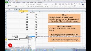 How To Calculate Mean and Standard Deviation in Excel 2010 [upl. by Briggs889]