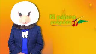 EL PÁJARO PREGUNTA [upl. by Etteluap64]