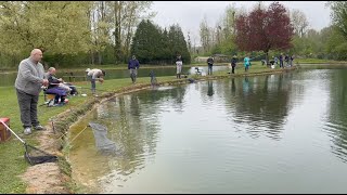 Pêche à la truite  sortie du comité dentreprise au bord de létang [upl. by Sikata]