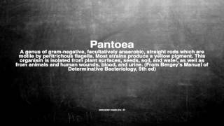 Medical vocabulary What does Pantoea mean [upl. by Zetniuq]