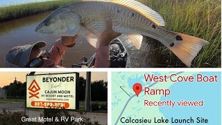 Fishing the Marsh of Calcasieu Lake redfish trout greatfood louisianafishing [upl. by Jereme]