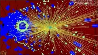 What Now For The Higgs Boson [upl. by Branscum]