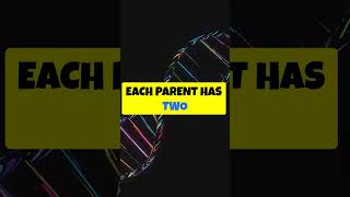 Punnett squares illustrate genetic crosses [upl. by Treborsemaj409]