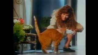 Kitekat Werbung 1990 [upl. by Novick]