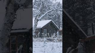 Never too early for some Christmas mood ❄️🎄✨ christmas winter norway [upl. by Enellij]