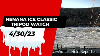 Nenana Ice Classic Tripod Watch 43023 wewatchicemeltforfun [upl. by Ikoek]