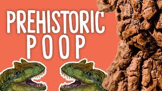 Unboxing quotPrehistoric Poopquot [upl. by Bullock463]