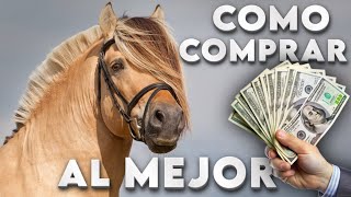 Mi PRIMER Caballo  ¿Como COMPRAR quotElegirquot un Buen CABALLO [upl. by Kylstra]