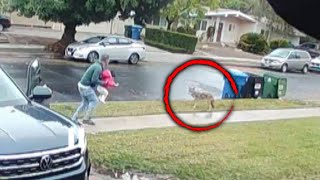 Dad Saves His Daughter From Coyote Attack [upl. by Modeste]