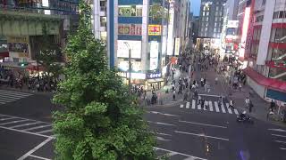 オノデンch【秋葉原ライブカメラ Akihabara live camera】 [upl. by Nylesoj]