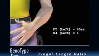 The GenoType Diet Measuring Finger Length Ratios [upl. by Calan]