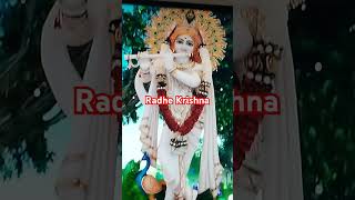 Radhe krishna song jubinnautiyal [upl. by Nylrem]