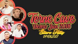 Terne Cave Stare Hity Demo Jun 2018  ROV TU MAMO amp ROMALE KAJ TUMARE LOVORE [upl. by Colb748]