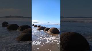 Moeraki Boulders Dunedin shortsvideo shorts shortsviral dunedin geologicalwonders ✨ [upl. by Dnalkrik]