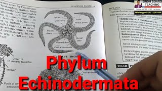 Phylum Echinodermata in HindiUrdu [upl. by Auhoj]