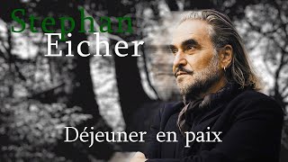 Stephan Eicher Déjeuner en paix Karaoke [upl. by Yessydo363]