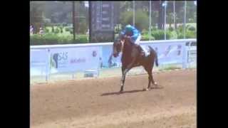 2e course  Gd Prix de Son Altesse Royale le Prince Moulay Rachid  PS arabes  1750 m [upl. by Ellenwad64]