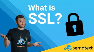 SSLTLS Explained in 7 Minutes [upl. by Bertila]