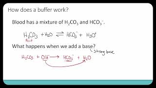 Introduction to Buffers [upl. by Haimrej404]