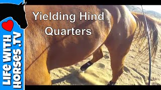 Horse Yielding Hind Quarters Stage 1 amp 2 Part 1 [upl. by Donaldson]