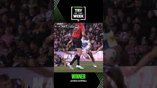 Jayden Campbell carves up the Penrith defence nrl [upl. by Nnav]