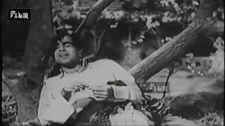 Yaad Rakhna Chand Taro is suhani raat ko song  Anokha Pyar 1948 Dilip Kumar Nargis Lata Mangeshkar [upl. by Nylrem]