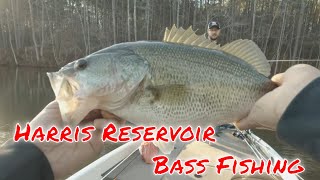 Catching Bass at Harris Reservoir [upl. by Batruk]