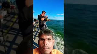 fishing perch fish ocean fishingusa funny shark [upl. by Anilak]