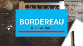 What is a Bordereau in Insurance amp Reinsurance  Bordereaux  Purpose  Contents [upl. by Leake]