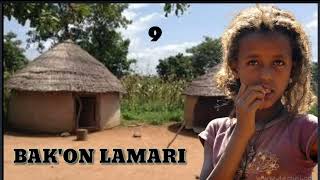 BAKON LAMARI part 9 Hausa Novels Audio [upl. by Atterual875]