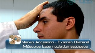 🌟NERVIO ACCESORIO  EXAMEN BILATERAL  MÚSCULOS ESTERNOCLEIDOMASTOIDEOS🌟 [upl. by Eimaraj755]