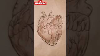 How Your Heart REALLY Works Anatomy amp Physiology [upl. by Noivart]