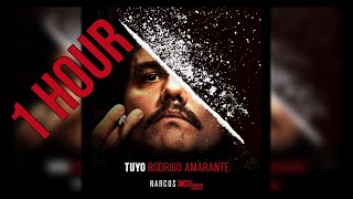 NARCOS MEXICO  TUYO  RODRIGO AMARANTE  1 HOUR VERSION [upl. by Aiyn]