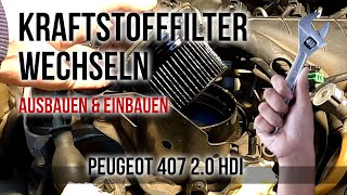 Peugeot 407 20 HDI  Dieselfilter selber wechseln [upl. by Bixby895]