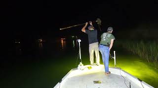 Dauphin Island Flounder Gigging 9 15 24 [upl. by Elsie789]