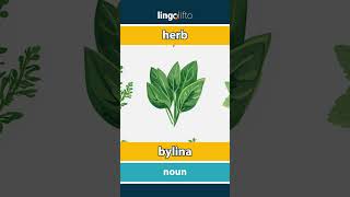 🇬🇧🇸🇰 herb  bylina  vocabulary builder  learn English  naučme sa anglicky [upl. by Eremaj]