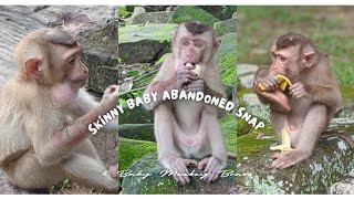 Skinny SnapMention If Hiss Wrong and Healthy Bravo A Tale of Two Monkeys [upl. by Anahsed702]