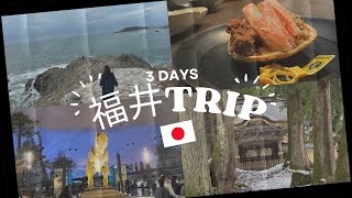 【福井2泊3日の旅vlog】あわら温泉街観光＆福井観光｜越前蟹・セイコ蟹｜おすすめグルメ｜恐竜博物館202312 [upl. by Odom88]