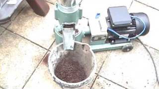 🔴 Pellet Mills Biomass Pellet Plant Feed Pellet Mill 🔴 [upl. by Anyer]