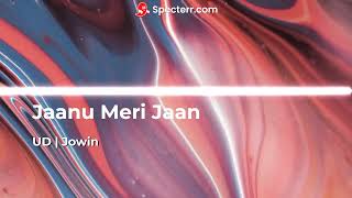 Jaanu Meri Jaan  Remix [upl. by Fasto456]