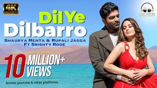 Dil Ye Dilbarro Hindi Music Video Shaurya Mehta amp Rupali Jagga  Srishty Rode  Kaushal K Aslam K [upl. by Ellenrahs]