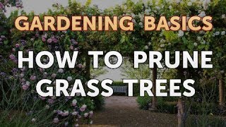 How to Prune Grass Trees [upl. by Mathia943]