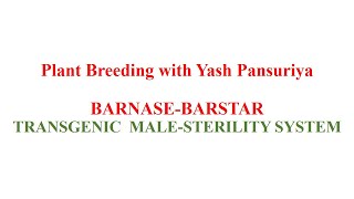 BarnaseBarstar Transgenic Genetic Male SterilityPollination Control [upl. by Pry119]