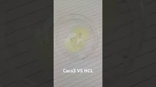 calcium carbonate reaction with hydraulic acidcalcium science cbse education [upl. by Winnifred]